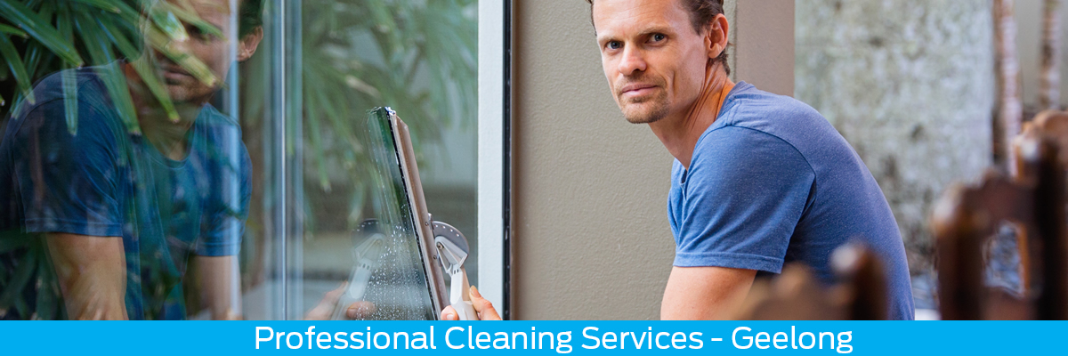 Window Cleaning Service